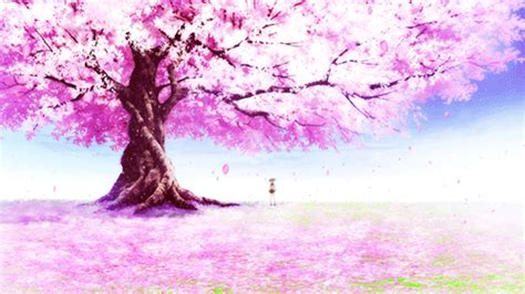 Anime Scenery. | Anime cherry blossom, Anime scenery wallpaper, Anime ...