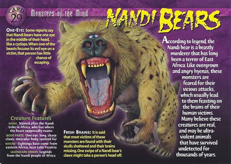 Nandi Bears | Wierd N'wild Creatures Wiki | FANDOM powered by Wikia