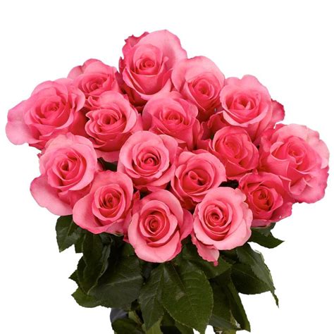 Globalrose 100 Pink Roses Fresh Flower Delivery-pink-roses-assorted-100 ...