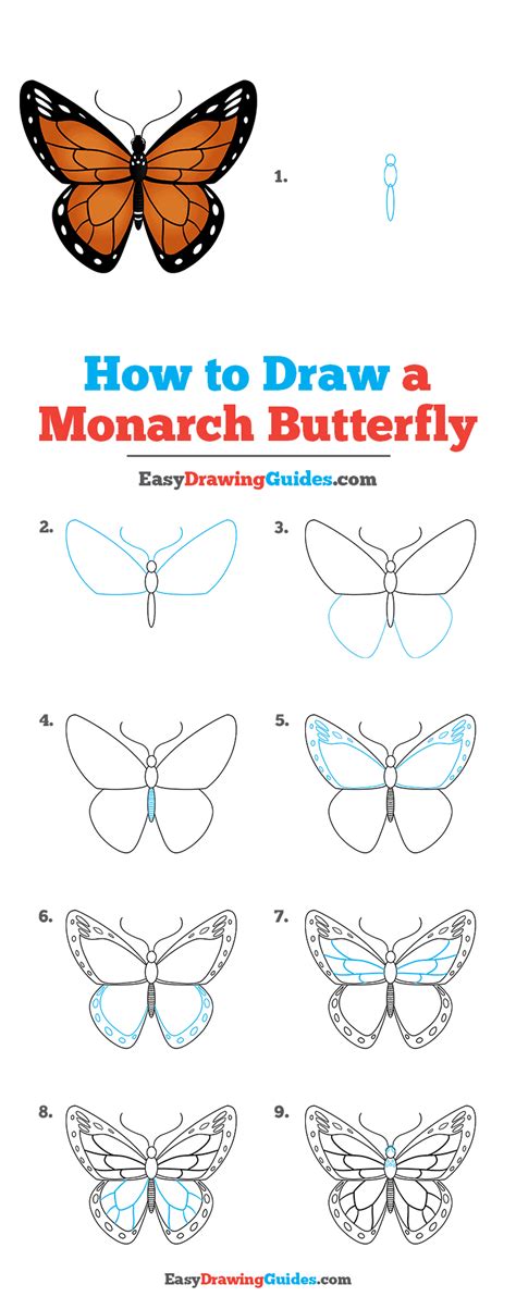 How to Draw a Monarch Butterfly - Really Easy Drawing Tutorial | Easy ...