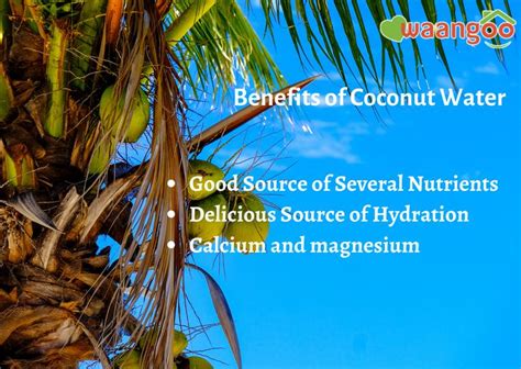 Health Benefits Of Drinking Tender Coconut Water #coconut #tendercoconutwater #Coconut # ...