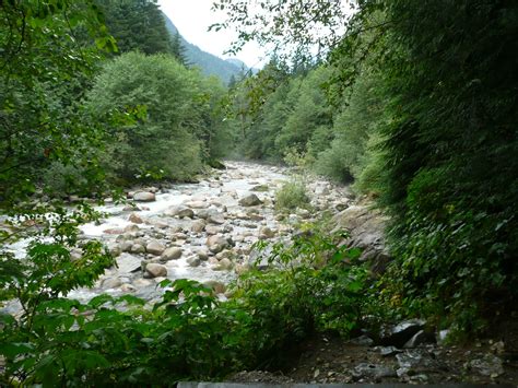 Lynn Valley Watershed N. Vancouver Water Cycle, Vancouver Bc, Mainland, Lynn, Valley, Lower ...