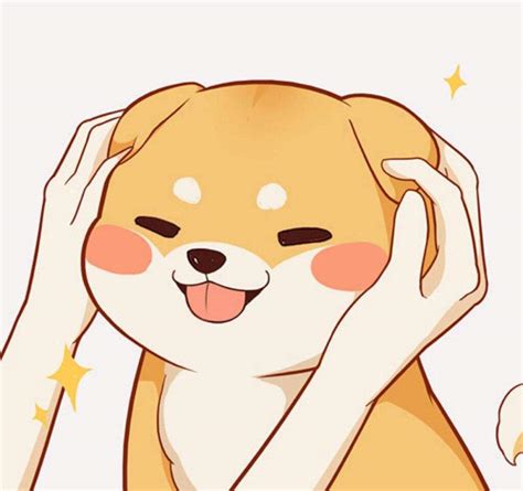 Shiba Inu ♡♡♡ | Anime Amino