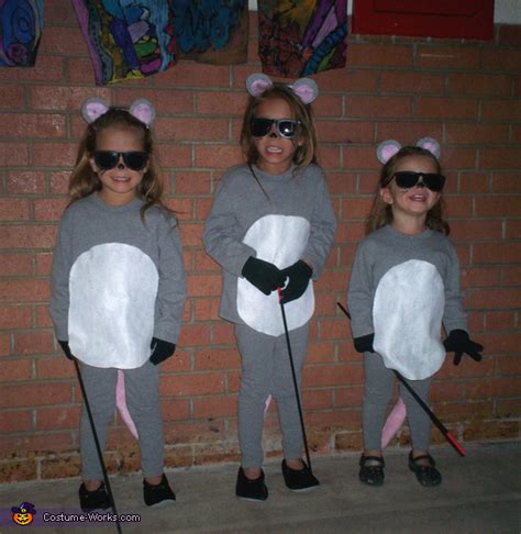 Three Blind Mice Costume Idea for Kids