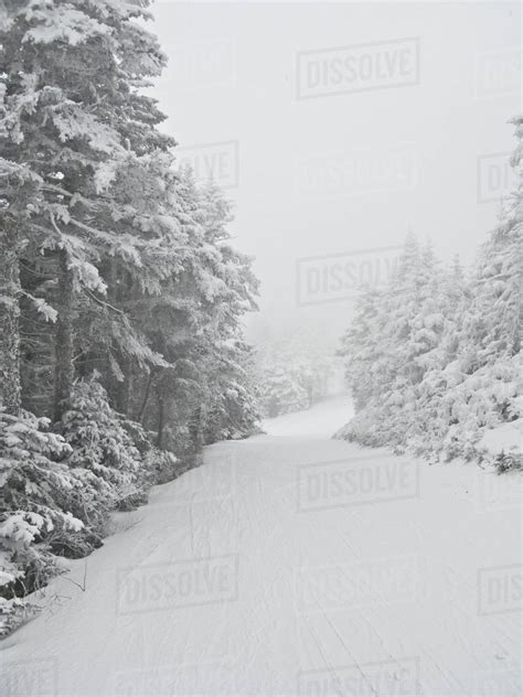 Ski slope - Stock Photo - Dissolve