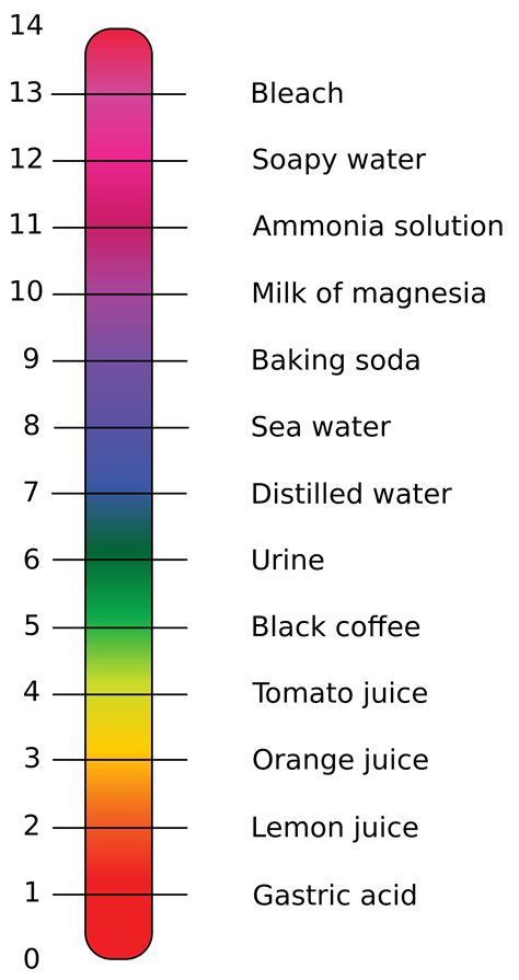 pH Values of Common Substances | Okinawa Institute of Science and Technology OIST