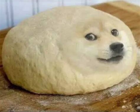 Making a loaf of doge be like : r/doge