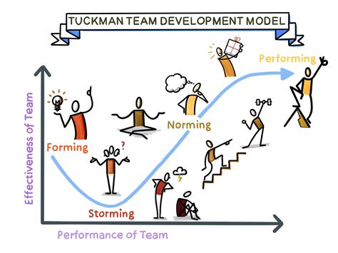 From Forming to Performing: Understanding Tuckman's Model of Team Development — The Visual ...