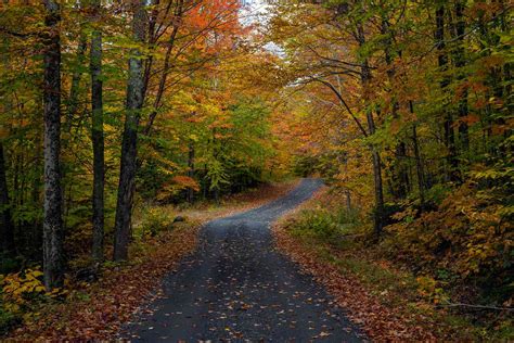 This Foliage Report Will Show You When NY Leaves Are at Their Best This ...