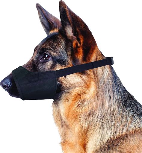 Best muzzle for dogs - startnoble