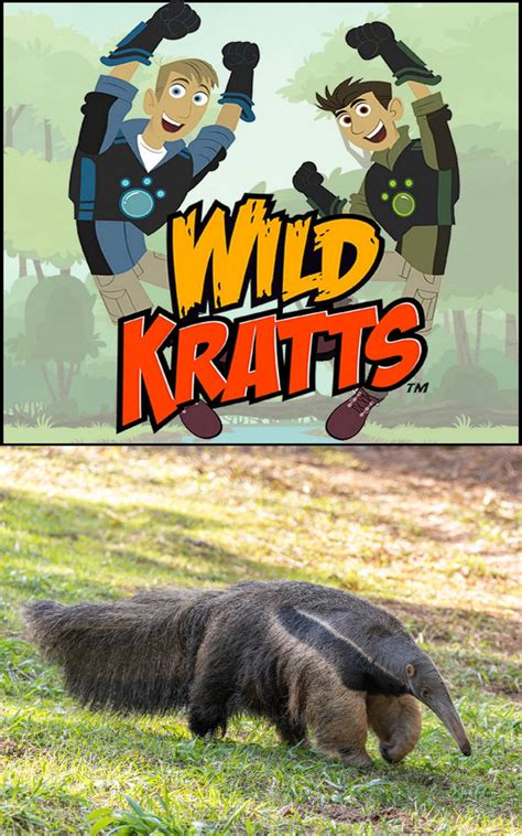 Wild Kratts Learn About Anteaters by Uranimated18 on DeviantArt