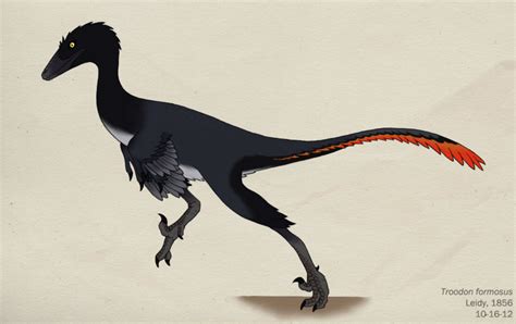 Troodon | Dinopedia | Fandom