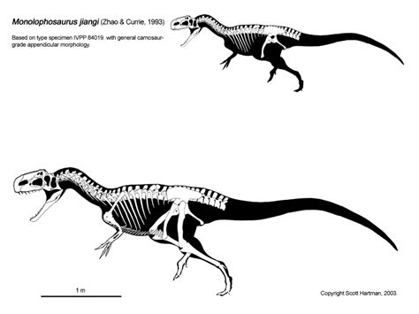 Extinct Animal of the Week: The Many Monolophosaurus