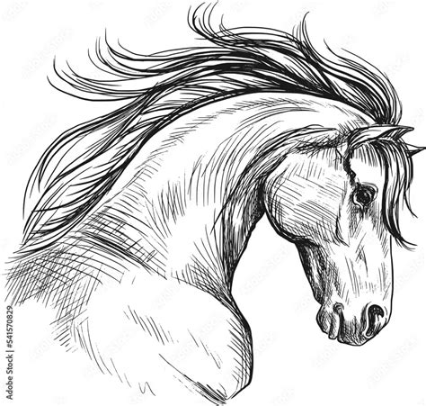 Horse head sketch in profile. Vintage vector illustration. Stock Vector | Adobe Stock