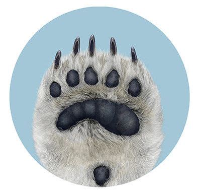 Polar Bear Paw Illustration (Polygone Studio, 2011) | Polar bear tattoo, Polar bear paw, Polar ...