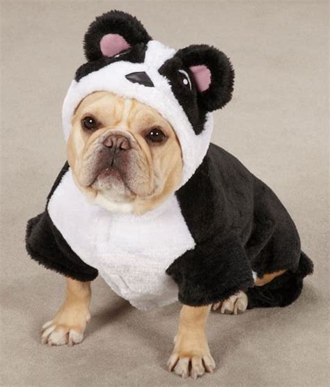 Casual Canine Panda Bear Dog Halloween Costume XS-XL | Pet halloween costumes, Panda dog costume ...