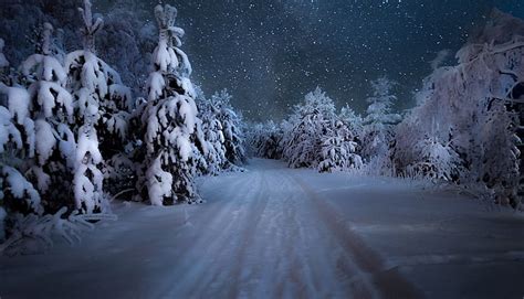 HD wallpaper: red tent, winter, snow, sky, trees, night, forest ...