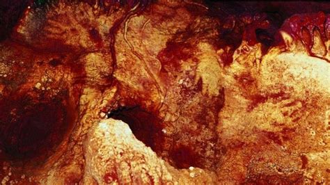 Neanderthals were capable of making art | Cave paintings, European art ...