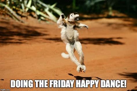 40 Happy Dance Memes to Put a Smile on Your Face - SayingImages.com