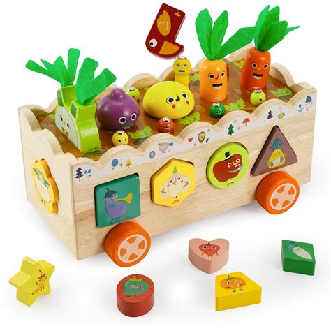 Montessori Toys for Toddler,Wooden Educational Preschool Toys Learning ...