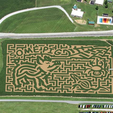 15 Best Corn Mazes to Visit in the U.S. This Fall