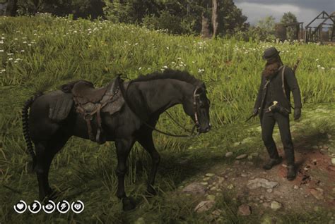 RDR2 The Ultimate Saddle... : r/RDR2