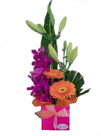 Cheap and Cheerful flowers, delivered Perth - Flowers - Florist Arrangements - Flowers Perth ...