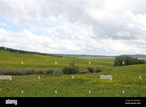 Glacier National Park, Browning, Montana, USA Stock Photo - Alamy