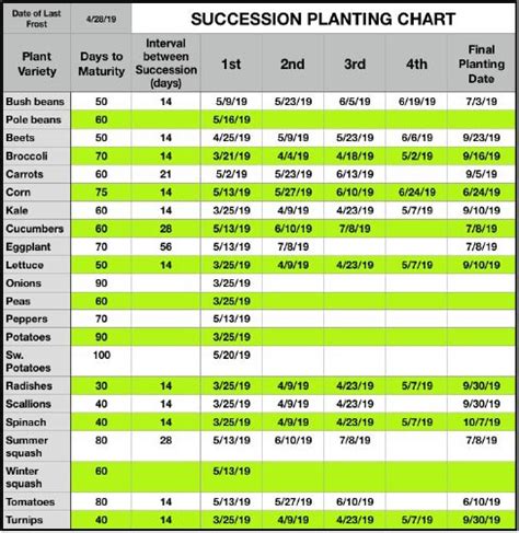 Succession Planting — Lancaster County — Master Gardener