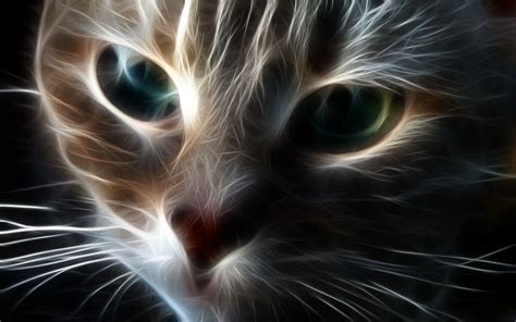 Animated Cats Wallpapers - Wallpaper Cave