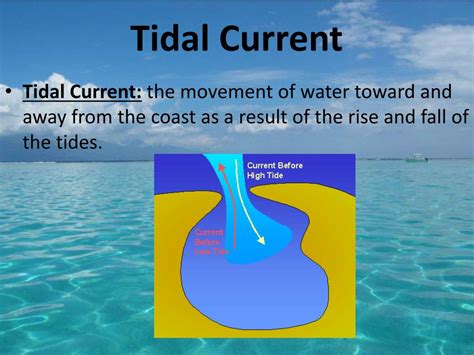 Seaward Current Following A Tidal Cycle