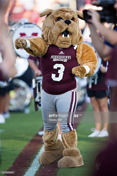 Bully, the mascot of the Mississippi State Bulldogs cheers on his... | Mississippi, Mississippi ...