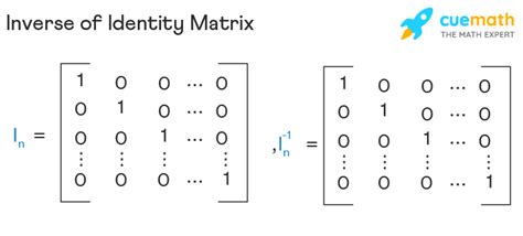 Inverse of Identity Matrix - Formula, Examples, Order n