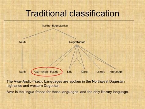 Avar language