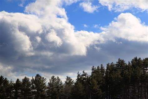 Clouds trees Photos in .jpg format free and easy download unlimit id:597049