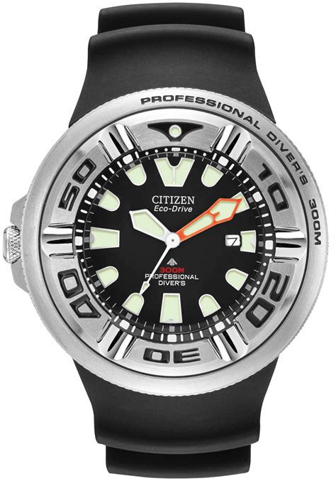 Citizen Eco-Drive Promaster 1000m Professional Diver Silver Black | Watches.com