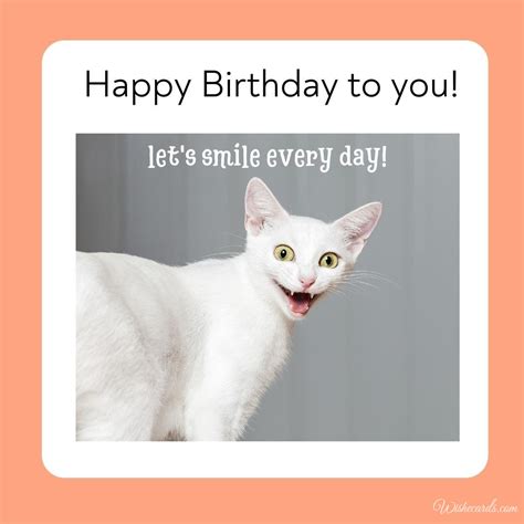 Happy Birthday Images and Funny Cards with Cats