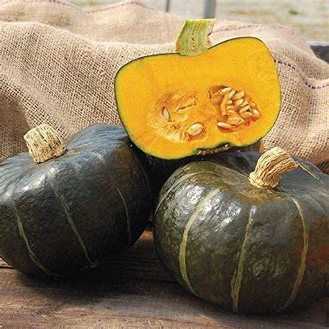 Winter Squash - Burgess Strain Buttercup - St. Clare Heirloom Seeds