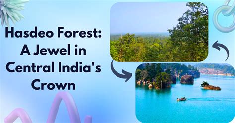 Hasdeo Forest: A Jewel in Central India’s Crown – Bliss Trip Destination