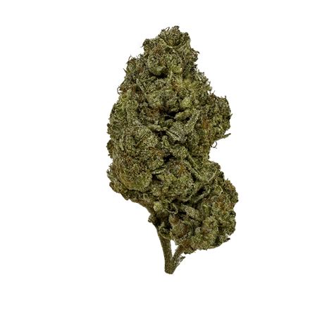 Superlife Flower – Ice Cream Sundae *Value Top Shelf* – Chyll.com