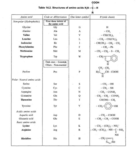 Essential and Non-essential Amino Acids - Km Chemistry