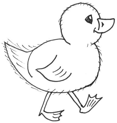 How to Draw Chicks : Drawing Cartoon Baby Chicks in Easy Steps – How to Draw Step by Step ...