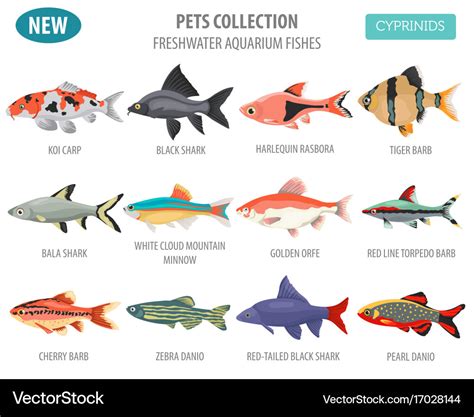 Freshwater aquarium fishes breeds icon set flat Vector Image