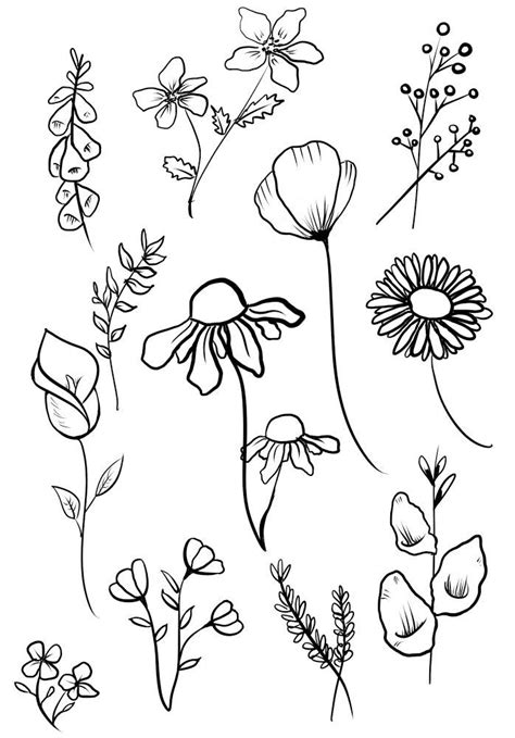 Digital art flowers | Doodle art flowers, Flower drawing, Flower line ...