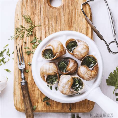 Grow Your Own Escargot (Snails) | The Green Head