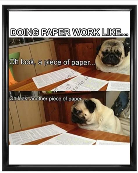 Pug Dog Doing Paperwork Meme Poster – JessieMarieStudio