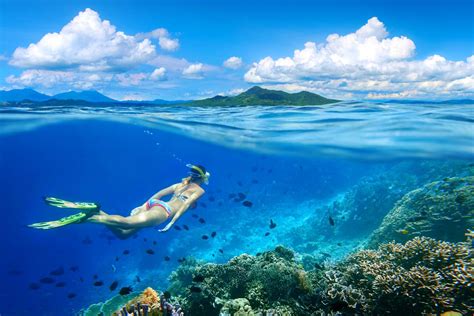 25 Best Snorkeling Spots in Oahu, Hawaii (with Map) - TourScanner