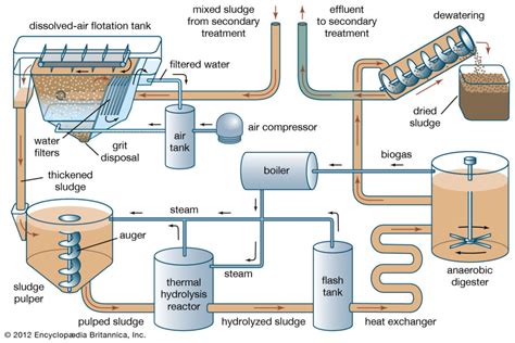 Wastewater Treatment for Pollution Control | Saving Earth | Encyclopedia Britannica