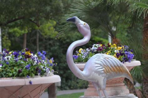 Flamingo Wildlife Habitat - Go Vegas Yourself