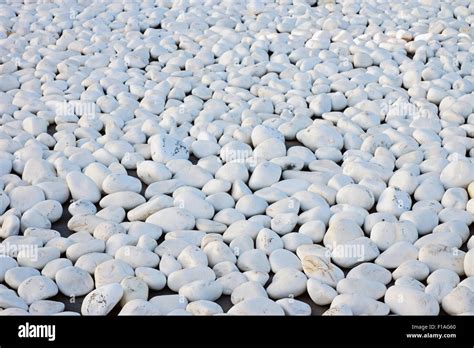 A background from white pebbles Stock Photo - Alamy